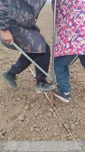 A labor-saving method involves directly driving steel pipe columns into the soil.