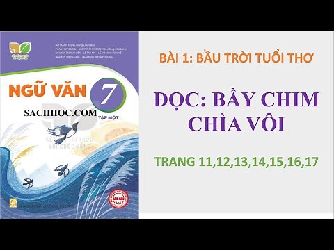 Bầy Chim Chìa Vôi - SGK Ngữ Văn 7 tập 1 - Kết nối tri thức - chi tiết