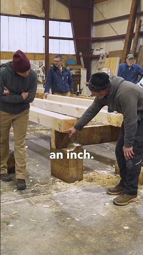 How do you predict the way in which a timber will move as it dries?