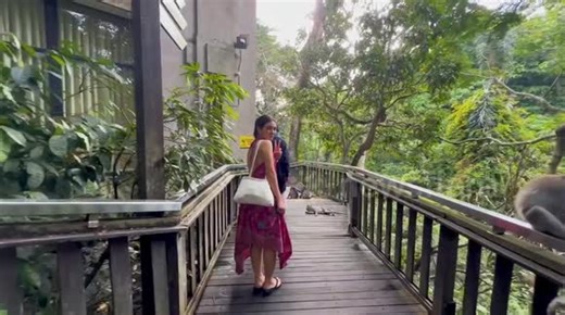 Wild monkey grabs woman's skirt and refuses to let go