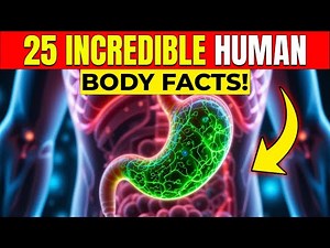 25 Incredible Facts About the Human Body (You Won’t Believe)