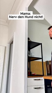 Ich schwöre, Sam übertreibt immer direkt 😭😭 außerdem ist der auch viel stärker als ich! | der.labrador.sam