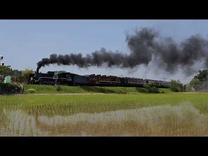 【田植えの季節 2026】C57-180「SLばんえつ物語」JR EAST steam locomotive C57180 "Banetsu-Monogatari" in May 17, 2026