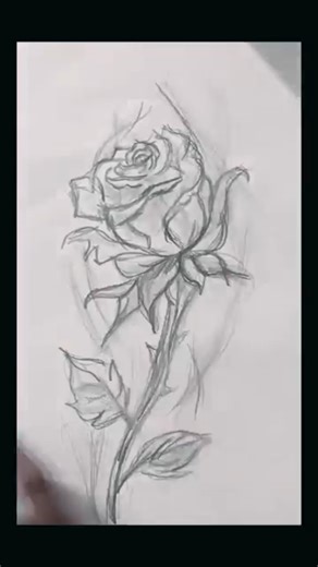 How to Draw a Rose: Step by Step Pencil Sketch 🌹"#flowers #drawing