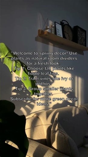 Room Dividers: Using Plants to Define Your Space! 🌿🏢