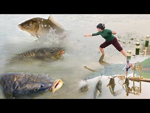 Full video fish traps : How to build a fish trap on the lake and river with bamboo