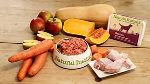 Feeding Raw to Older Dogs - Caring for a Senior Dog