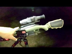 Ruger .204 budget night hunting setup / .223 55gr V-max review part 2!