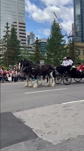 A Unicorn at the Calgary Stampede Parade?!