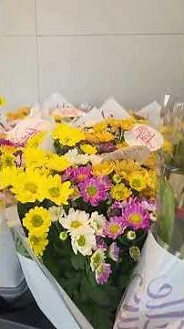 New plant and flower arrivals at Lidl