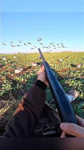 Calling, waiting… BOOM. That’s goose hunting 🎯 #goosehunting #hunting