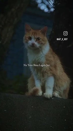 me tenu samjava kii❤️‍🩹🤌#_trending #_shorts #_viral #_song_status