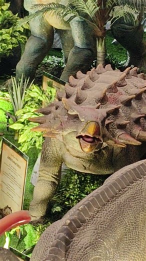 Jurassic park Theme #jurassicworld #jurassicpark #dinosaur #disney #travel #dinosaur