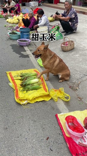 This was the first time I sold things with Dahuang.