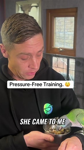 Building Trust with Parrots Through Patience