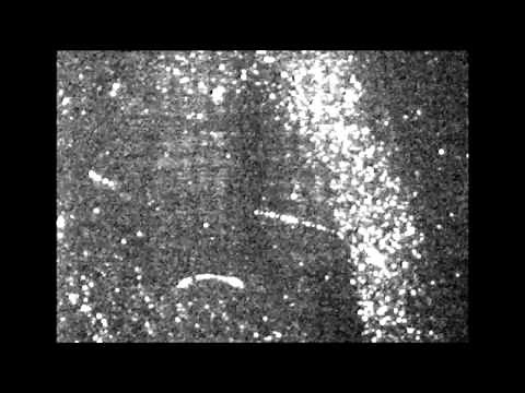 Visualization of Kelvin waves on quantum vortices