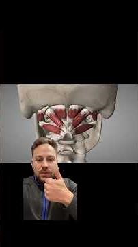 How Proprioception Testing Can Enhance Neck Injury Treatment | NeckCare