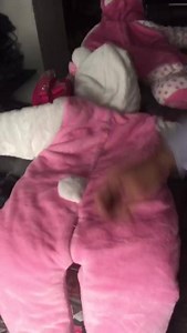 3.5K views | Rainbow fashion on Reels | Facebook