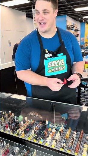 All Are Welcome Here! LEGO from Bricks and Minifigs Clearwater Florida