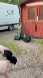 77K views · 176 reactions | Steve'n'Seagulls on Reels | Facebook