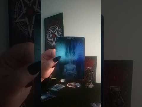 Unleashing your inner beast (what would that look like?)