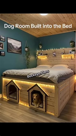 Buckeye Plans | Dog room built into the bed 😁 #reels #clever #dogroom | Instagram