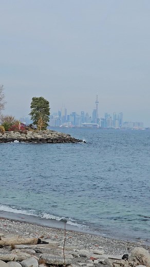 #موسيقى #الزمن_الجميل #عمر_خورشيد #غيتار #fyp #foryoupage #viral #اكسبلور