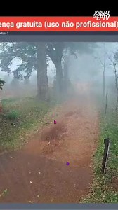 1.5M views · 14K reactions | POSSÍVEL MICROEXPLOSÃO - Uma câmera de segurança da Fazenda do Pinhal, entre São Carlos e Itirapina, flagrou o momento da chegada da chuva de ontem no fim do dia. É impressionante como em menos de quatro minutos ela vem forte e passa. O vento derrubou árvores, veio um vendaval muito forte. As pedras de gelo voando são um sinal de que tinha muitas nuvens densas em cima da região. | Jornal da EPTV e Bom Dia Cidade - Central | Facebook