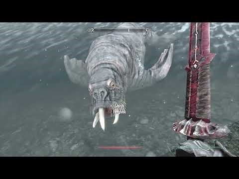 Skyrim AE ~ How To Get The Vampiric Ring