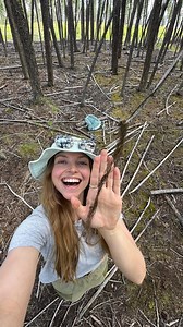 24K views · 1.6K reactions | It really looks like hair!! Witch’s-hair...