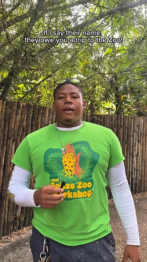 Tag them! 🫣 | The Belize Zoo & Tropical Education Center