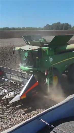 AGRICULTURE -MOISSONNER DU TOURNESOL Oo #agricultures #tracteurs#agricultrices#agriculteurs#marca2c