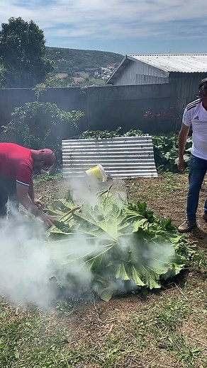 Curanto Familiar: Receta Tradicional del Sur de Chile