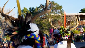 The Cellicion Zuni Dancers are world renowned for their performances of traditional Zuni Pueblo social songs & dance. Here, they perform the Deer Dance: "When a deer is harvested and brought into the home, it is treated with respect. When we send a deer into the spirit world, we do so with the same ceremonies and prayers as we do with our loved ones." Spend a Minute Out In It with the Cellicion family, as the pay homage to an animal that has sustained their people in the southwest since time imm
