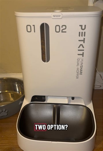 Discover Fun Cat Apps for Cat Lovers