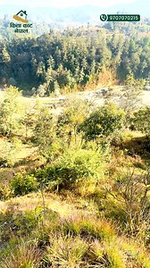 🏡 LAND FOR SALE at Champi, Lalitpur 🏡 ID: 4026 📐 Land Size : 2 Ropani 🧭 Facing : South 🛣️ Road Access : 13 ft Wide Road 💰 Rate : 5 lakh per aana 📍 Prime Location ✅ Ideal for Residential or Investment | Kitta Kaat Nepal