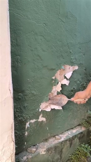 537K views · 5.8K reactions | Regardez comment le mur de ma maison était infiltré par la pluie, j'ai fait cela et cela a éliminé toute la moisissure et l'infiltration ! | Recettes et astuces de Raimundo | Facebook