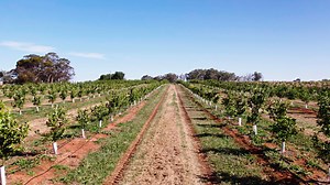677 reactions · 28 shares | As the demand for Australian high value crops like fruits, vegetables and nuts continues to rise, we are committed to helping the sector grow  Hear from Production Systems Manager, Steph Gersekowski, about the innovative John Deere technologies helping producers drive efficiency gains and reduce input costs. | John Deere | Facebook