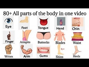 80 Basic Parts Of Body | Body Parts Name In English | Listen And Practice #learnenglish #bodyparts