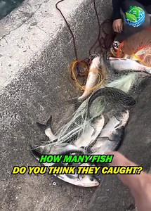 Big catch alert | Luci Store