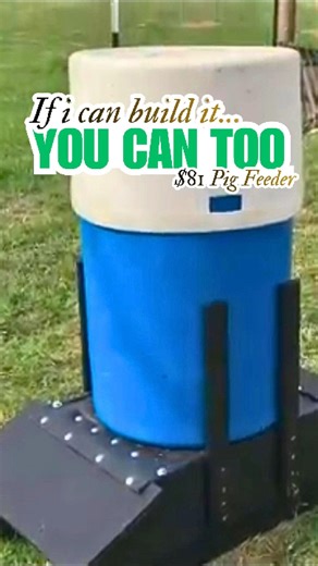 Throwback Thursday, this feeder holds about 400 lbs of feed — and with three feeders out now, we can keep over 1,200 lbs available at once. That means: • fewer refill trips • drier feed • less waste • more time for actual farm work Store-bought bulk feeders? $400–$1,400. This one? Built with farm scrap simple tools a little sweat. That’s why we build it ourselves. Save this if you’re feeding pigs and tired of overpriced equipment. #howto #DIY #piglets #pigfeeder #pasturedpork | Watts Way Farms