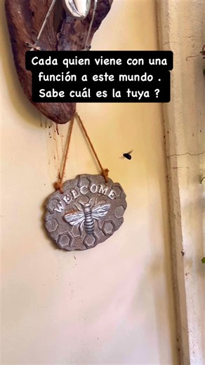 1.1K views · 4 comments |  Cada quien tiene una función, como el...