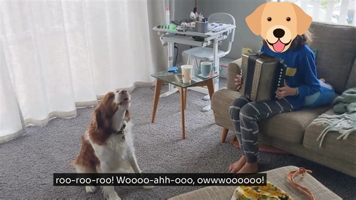 Kāpiti dog owners! Beau’s here to remind you it’s time to register your Kāpiti kurī 🎶🐕 Registration invoices are on their way to local dog owners and will be arriving in letterboxes and inboxes over the coming days. If you’ve registered before, you can renew online or in person. New to Kāpiti or recently welcomed a new doggo to your whānau? Pop into one of our Kāpiti Coast District Council service centres to get started. To find out more about dog registration, visit www.kapiticoast.govt.nz/do