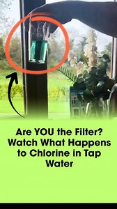 Chlorine Test – The Results Speak for Themselves! 🧪💧 We ran a simple but powerful test using chlorine indicator drops on 3 glasses of tap water: Glass 1 – Left untouched Glass 2 – We dipped a hand in it Glass 3 – We added a potato chip Watch how the colour changes with the drops, chlorine vanishes from the water when it finds something else to bond with, like your skin, food, or even your lungs when you shower. Scary, right? That same chlorine could be causing dry skin, itchiness, or that stro