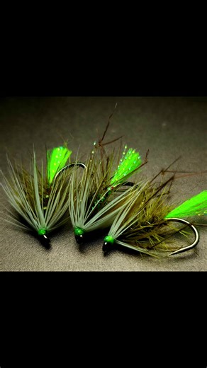Hook B170 10# Tail Glow Bright Body SMG Olive Possum Legs SMG Olive Knotted Phesant Tail Palmer Olive Cock Colars Olive and white Hen smgfishing.co.uk #flytying #fyp #Scotland #Flyfishing #smgfishing