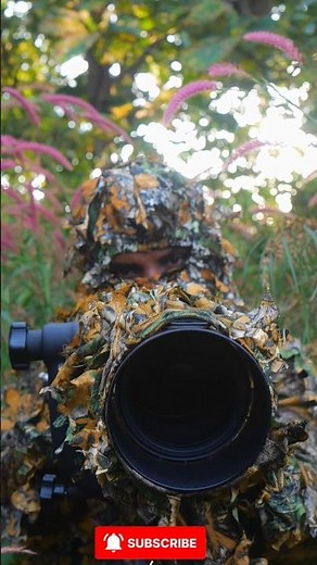 You Won’t Believe This Wildlife Moment 😱 #photography #wildlife #nature