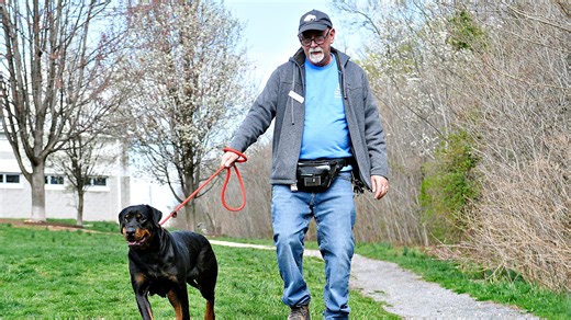 York County SPCA implements program to help create less stressed, more adoptable dogs