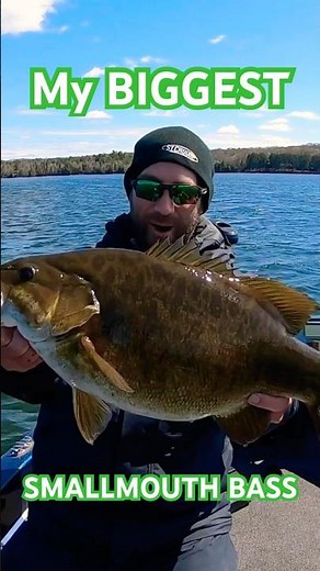 My BIGGEST Smallmouth Bass of ALL TIME! 😱🏆 #fishing #bassfishing #smallmouth #smallmouthbass #tank