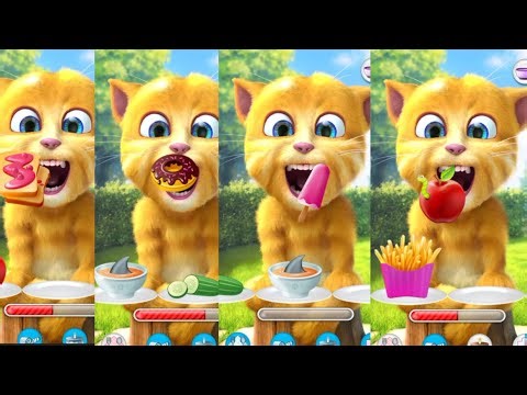 🥳🎉 Ginger Celebrates Mini Party Surprises! 🎈😺