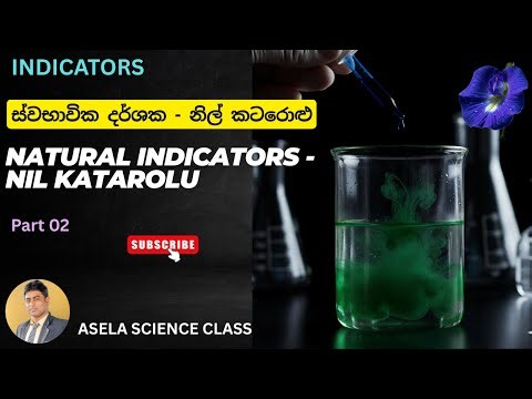 Natural pH Indicator Using Blue Cabbage | Easy Science Experiment ස්වභාවික දර්ශක-නිල් කටරොළු Part 02